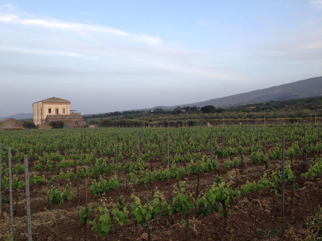Feudo Vagliasindi -Wine Experience- Casa de hóspedes Randazzo Exterior foto